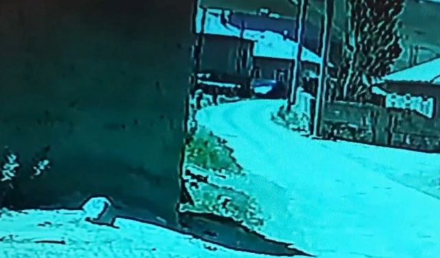 Özalp’ta kamyonet duvara çarptı, çocuklar korkuyla kaçtı