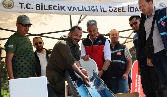 Pelitözü Göleti’ne anaç sazan balığı salındı