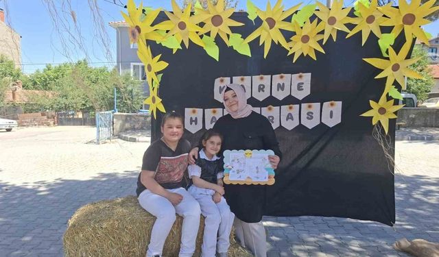 Saman balyalı karne hatırası panosu