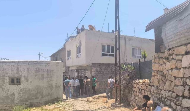 Siirt’te elektrik akımına kapılan yaşlı çift hayatını kaybetti