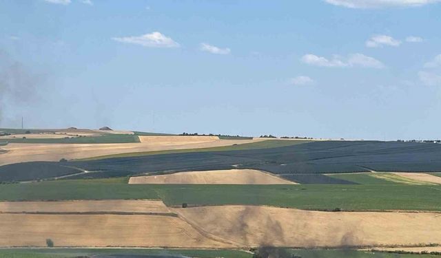 Tekirdağ’da 150 dönümde ekili buğday küle döndü