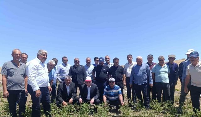 TZOB Başkanı, dolu sonrası zarar gören tarlaları inceledi