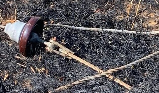 Yüksek gerilim hattı koptu, buğday tarlası alev aldı