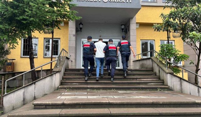 Artvin'de uyuşturucu operasyonunda yakalanan zanlı tutuklandı