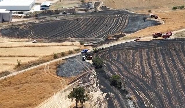 Bilecik'te anız yangını fabrikalara sıçramadan söndürüldü