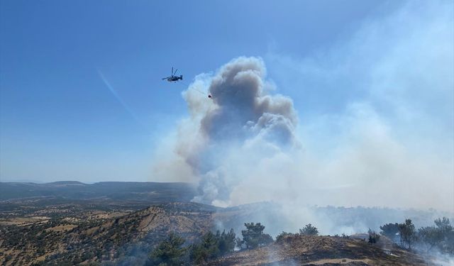 Çanakkale'de çıkan orman yangınına müdahale ediliyor