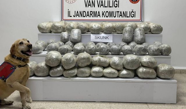 İran'dan katırla getirilen 97 kilogram sentetik uyuşturucu ele geçirildi