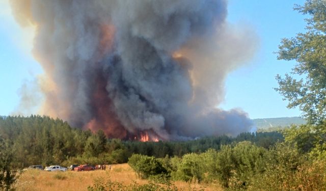 Karabük'te ormanlık alanda çıkan yangına müdahale ediliyor