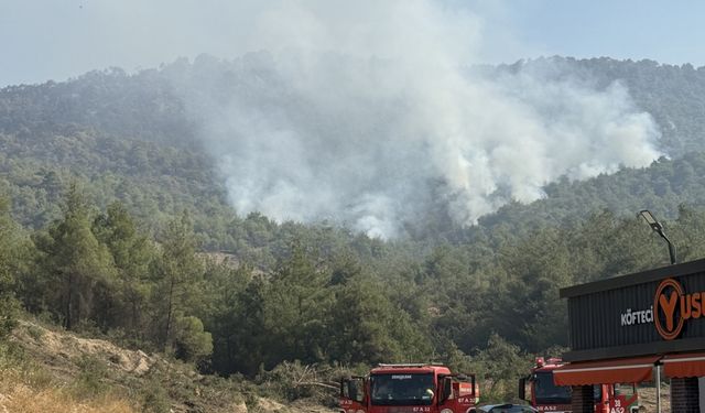 Sakarya'dan Bilecik tarafına sıçrayan orman yangınına 3. gününde müdahale sürüyor