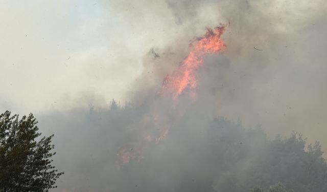 Sakarya'dan Bilecik tarafına sıçrayan orman yangınına 4. gününde müdahale devam ediyor