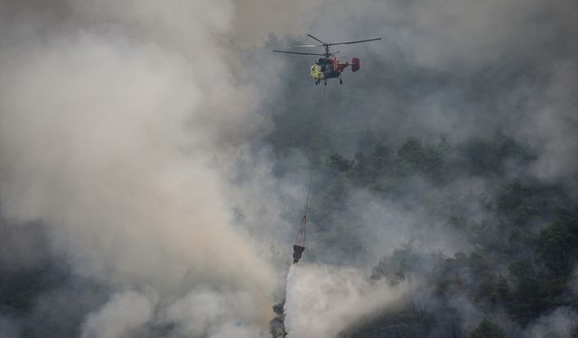 Sakarya'dan Bilecik tarafına sıçrayan orman yangınına müdahale sürüyor