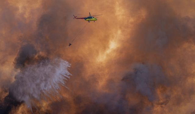 Tekirdağ'da çıkan orman yangını Çanakkale'ye sıçradı