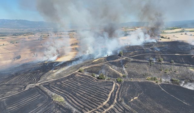 Tokat'ta çıkan yangında yaklaşık 250 dekar buğday ekili alan yandı