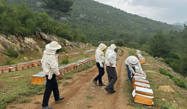 Adıyamanlı arıcılar, 2025 yılı bal fiyatlarını açıkladı