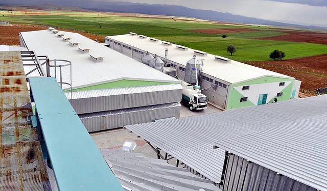 Afyonkarahisar’daki yumurta firmasına, FETÖ soruşturması kapsamında kayyum atandı