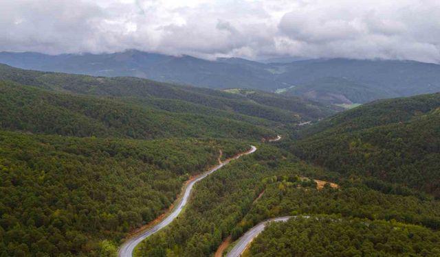 Akdağmadeni Belediye Başkanı Dr. Nezih Yalçın’dan orman yangını riskine karşı uyarı