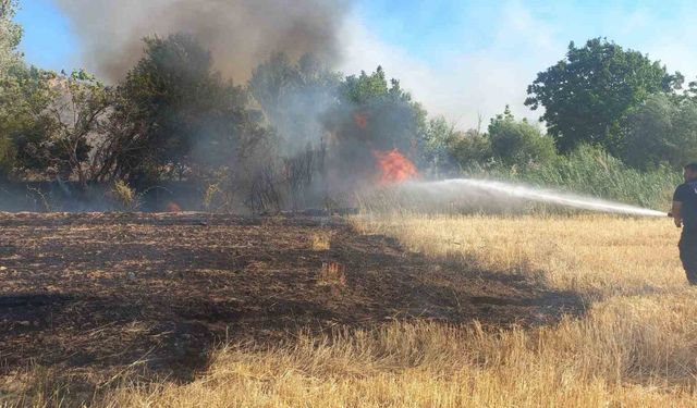 Balya makinesinden çıkan kıvılcım 200 dönümü yaktı