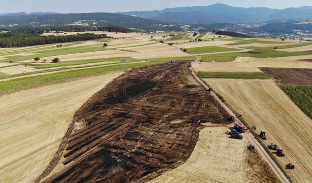 Balya yapan çiftçi anız yangınını fark etti: 5 dekar alan kül oldu