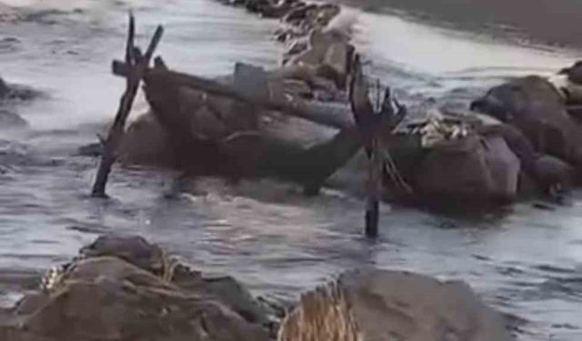 Batman’da su samuru balık ağına dadandı