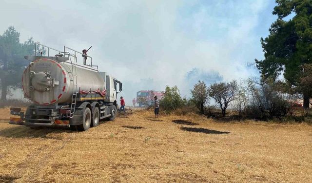 Çanakkale’de orman yangını kontrol altına alındı