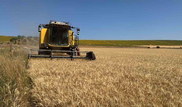 Çorum Belediyesi’nden 80 dönümlük buğday tarlasında hasat başladı
