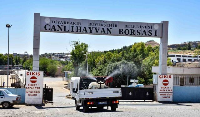 Diyarbakır’da kapatılan Canlı Hayvan Borsası ilaçlanıp dezenfekte edildi