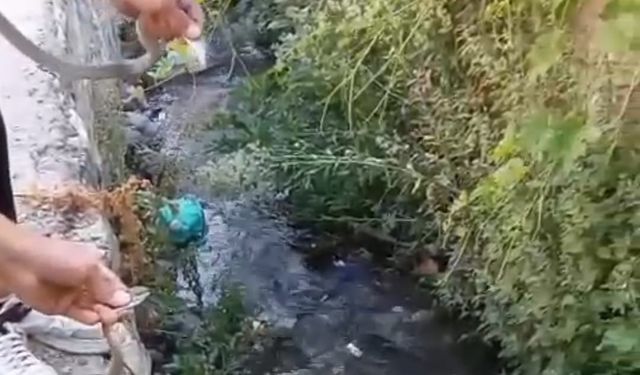 Hakkari’de toprak evin tavanına yuva yapan yılanlar doğaya salındı