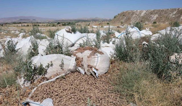 Kapadokya’da valiliğin uyarısını dinleyen olmadı