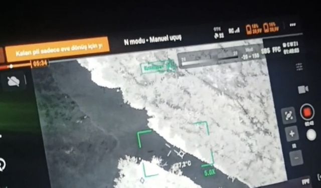 Kaybolan 3 büyükbaş hayvan termal dronla bulundu