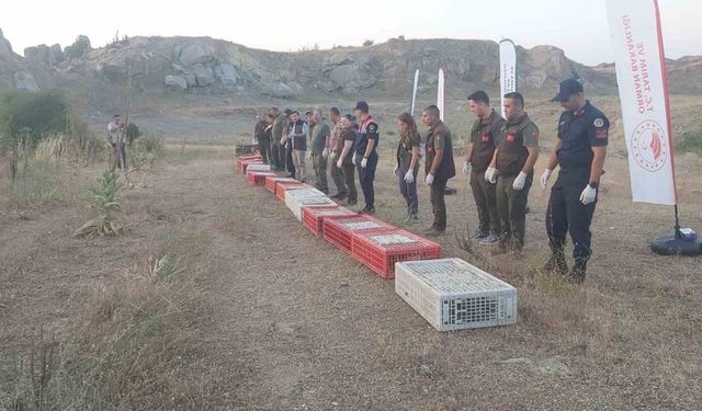 Kırklareli’nde doğaya keklik salındı