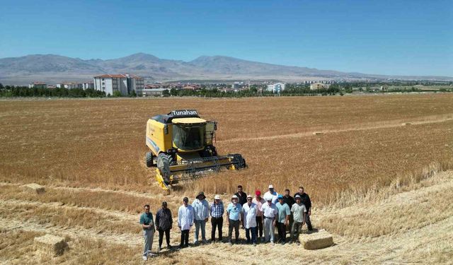 NÖHÜ’de 300 dekar arazide arpa ve buğday hasadı başladı