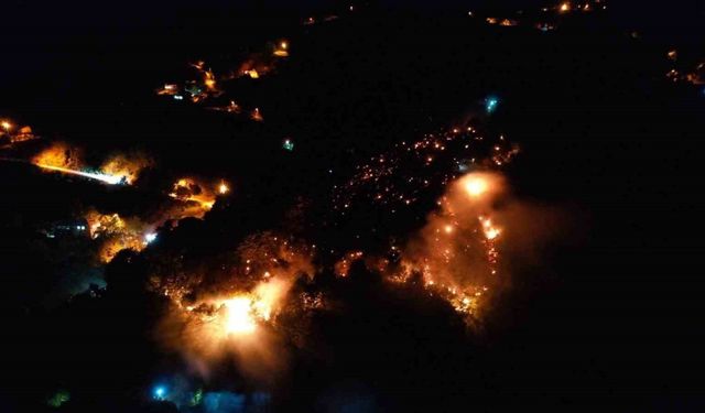 Ormanlık alanda yangın: Ekipler ve vatandaşlar alevleri 3 saatte söndürdü