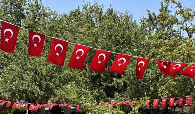 Siverek ay yıldızlı bayraklarla donatıldı