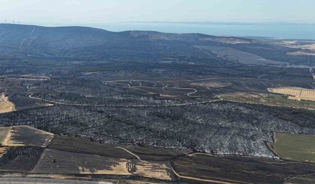 Tekirdağ’daki orman yangınında Çanakkale’de 119 futbol sahası büyüklüğünde alan yandı