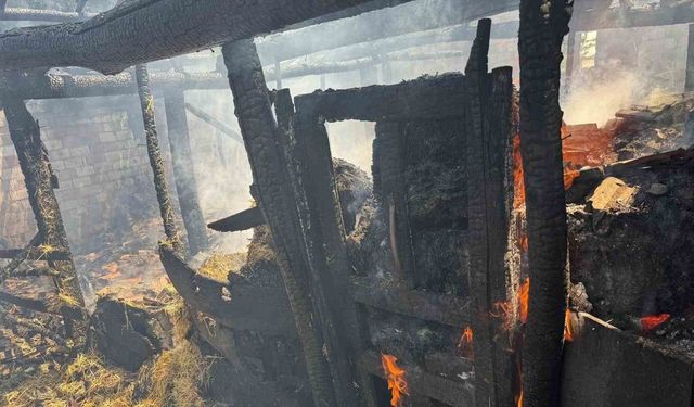 Yaprak pişirilirken çıkan yangın ahıra sıçradı, 7 büyükbaş hayvan telef oldu