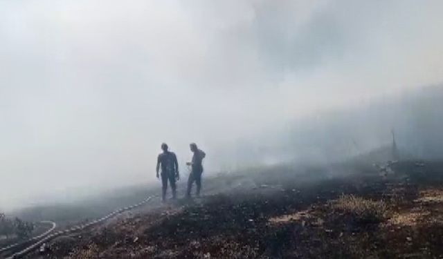 Yozgat’ta anız yangını paniğe neden oldu