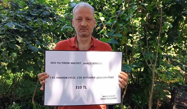 Ziraat mühendisinden fındığın maliyeti hesabı: 222 TL