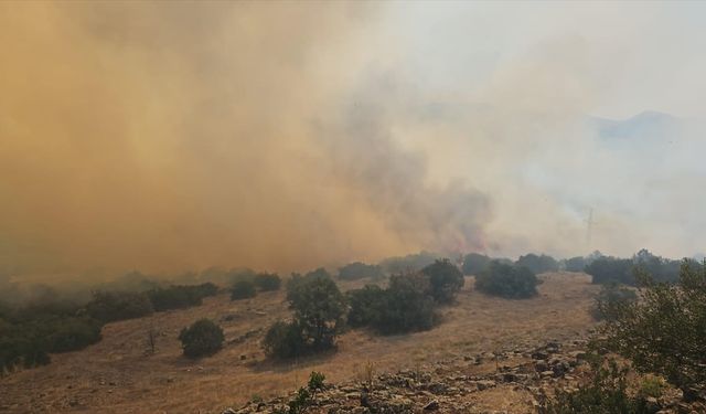 Balıkesir'de çıkan orman yangınına müdahale ediliyor