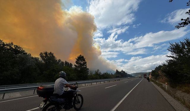 Bolu'da ormanlık alanda çıkan yangın kısmen kontrol altına alındı