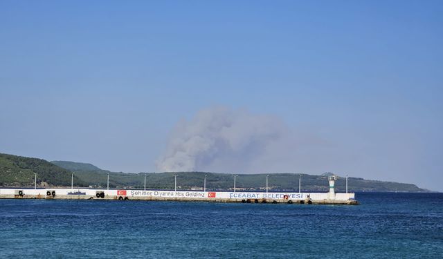 Çanakkale Gelibolu'da çıkan yangına müdahale ediliyor