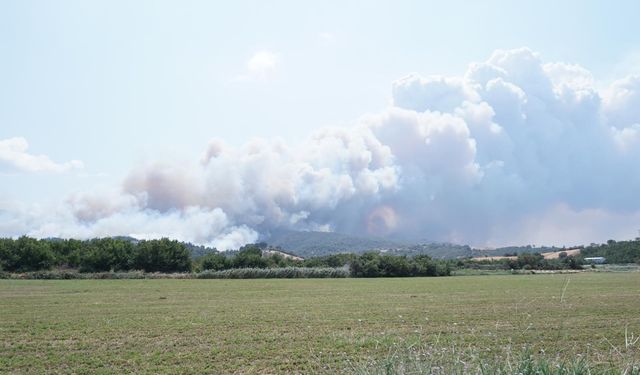Çanakkale'deki orman yangınına müdahale eden itfaiye aracı alevler arasında kaldı