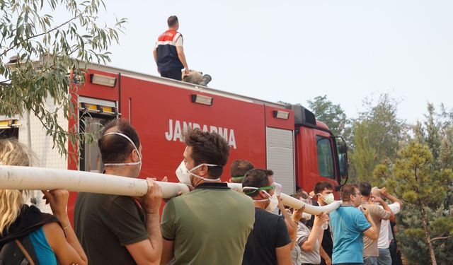 ÇOMÜ Rektörlüğünden Çanakkale'deki orman yangınına ilişkin açıklama: