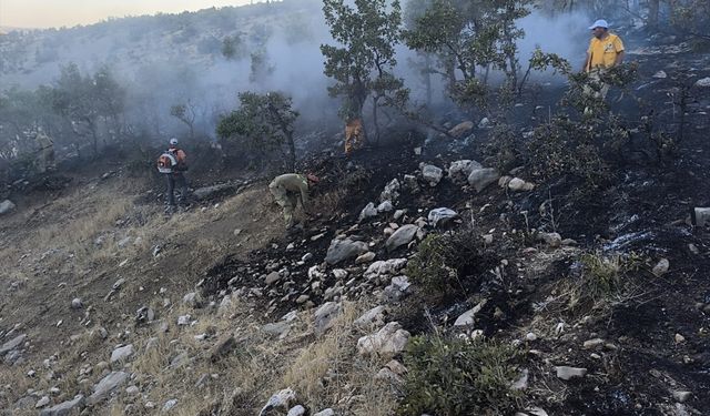 Diyarbakır'da ormanlık alanda çıkan yangın söndürüldü