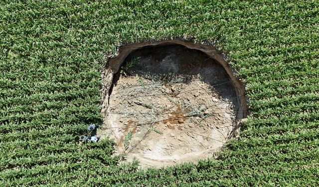 Karaman'da mısır tarlasında obruk oluştu