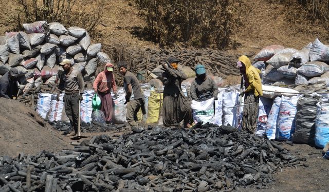 Mangal kömürü üreticileri hem havanın hem de ateşin sıcaklığıyla mücadele ediyor
