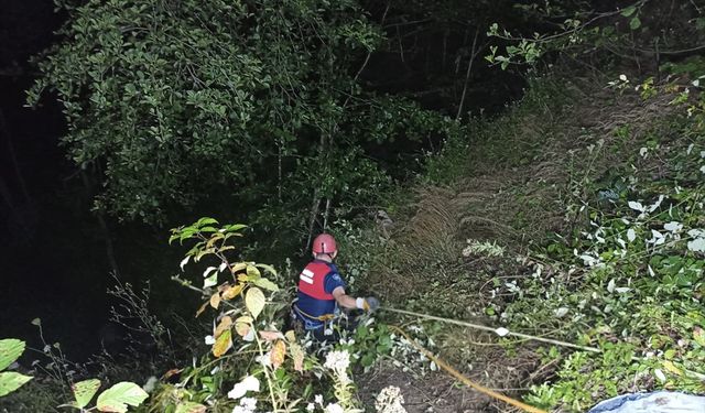 Ordu'da uçuruma yuvarlanan tarım aracının sürücüsü öldü, babası yaralandı