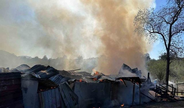 Alevlere teslim olan samanlık kullanılamaz hale geldi