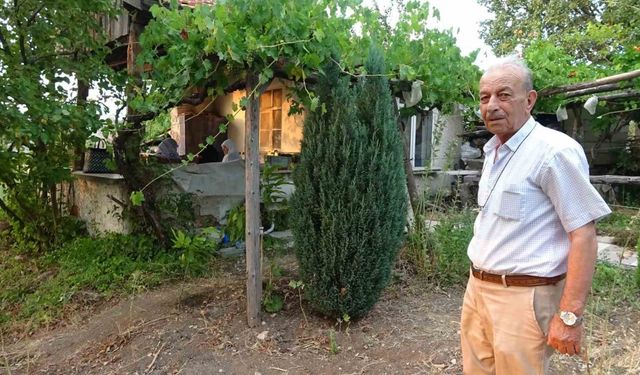 Bahçesine sürekli geyik giren vatandaş çaresiz