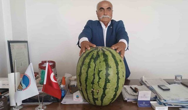 Batman’da 45 kiloluk karpuz dikkat çekti