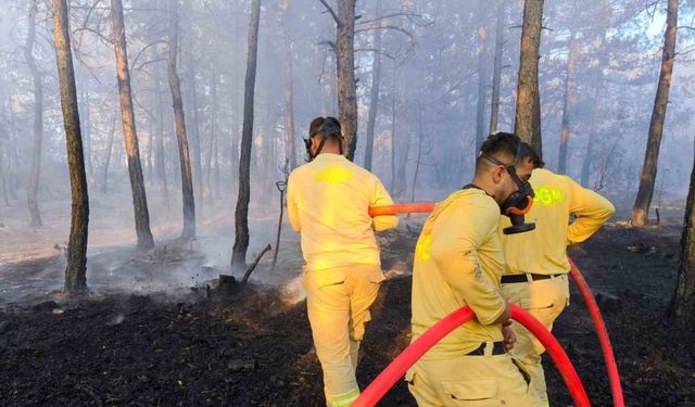 Bolu’da küle dönen 20 hektar ormanda, soğutma çalışması sürüyor